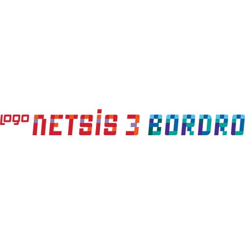 Logo Netsis 3 Bordro